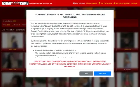 AsianBabeCams homepage screenshot