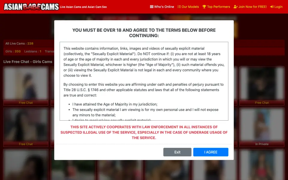AsianBabeCams homepage screenshot
