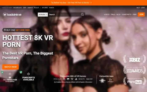 BadoinkVR homepage screenshot