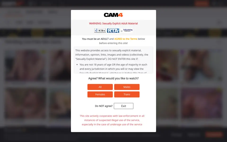 CAM4 homepage screenshot
