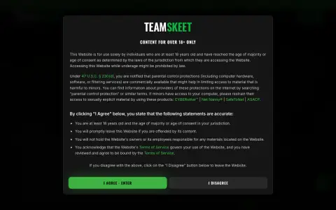 TeamSkeet homepage screenshot